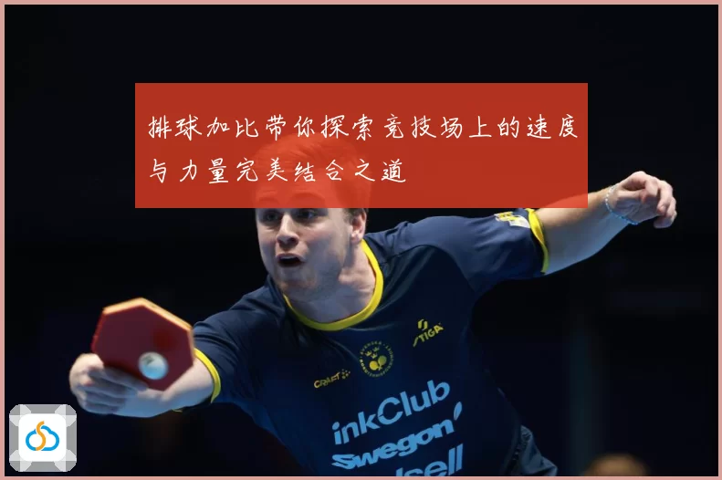 排球加比带你探索竞技场上的速度与力量完美结合之道