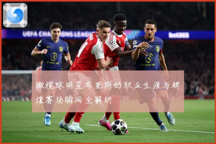 橄榄球明星布里斯的职业生涯与辉煌赛场瞬间全解析