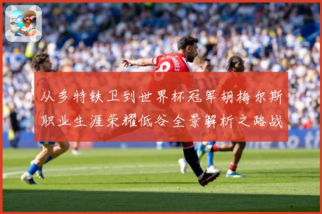 从多特铁卫到世界杯冠军胡梅尔斯职业生涯荣耀低谷全景解析之路战术观察