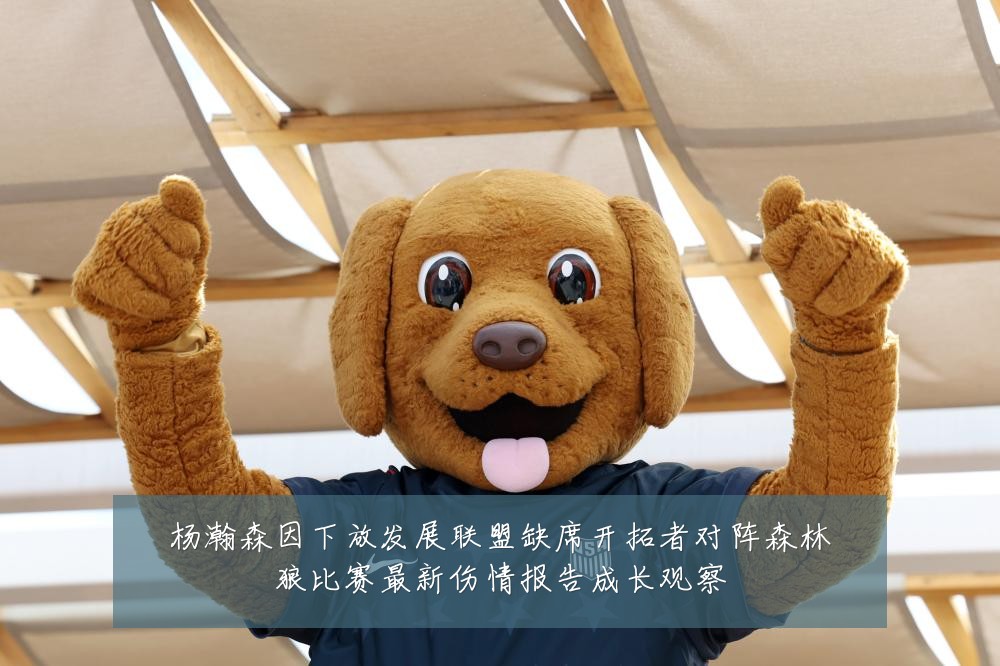 杨瀚森因下放发展联盟缺席开拓者对阵森林狼比赛最新伤情报告成长观察